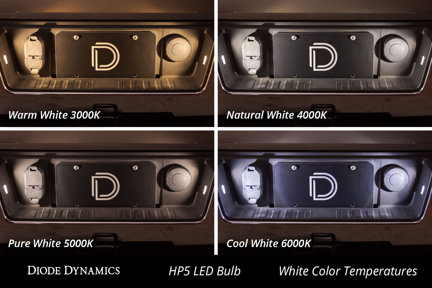 D1S Ballast Power Wires (Input and Output)